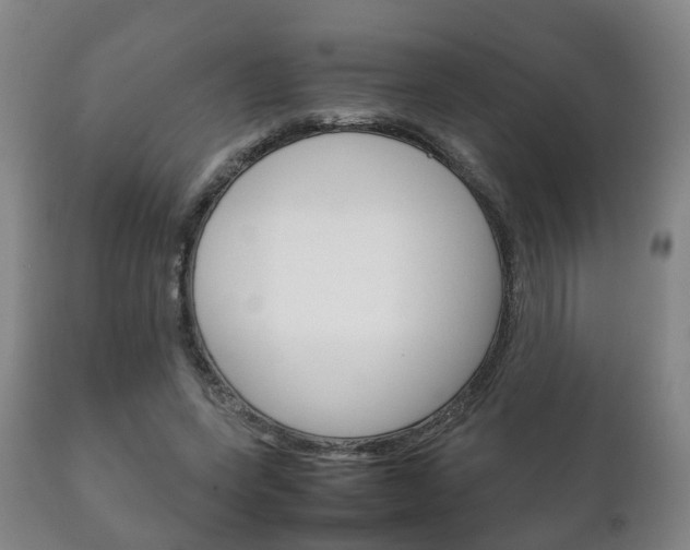 X0000111230543200907021026