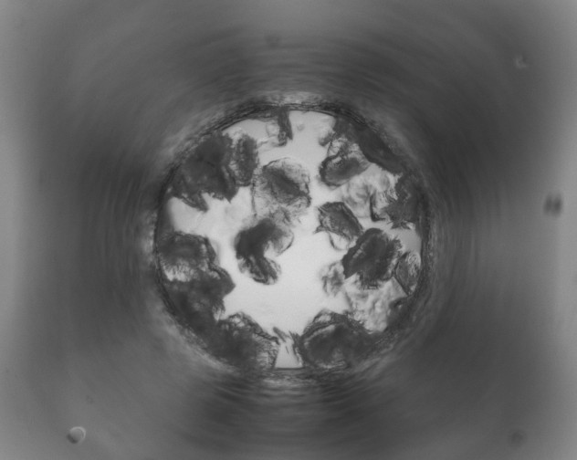 X0000111230545200907021026