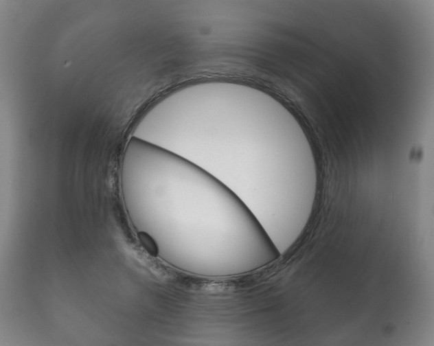 X0000111230546200907021026