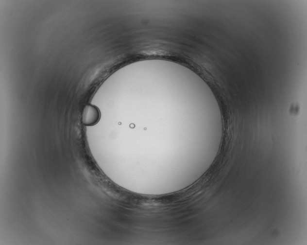 X0000111230547200907021026