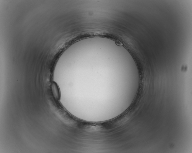 X0000111230548200907021026