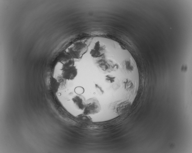 X0000111230549200907021026