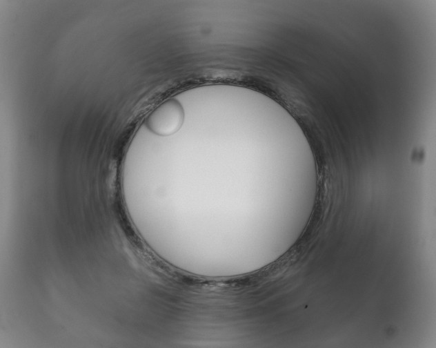 X0000111230550200907021026