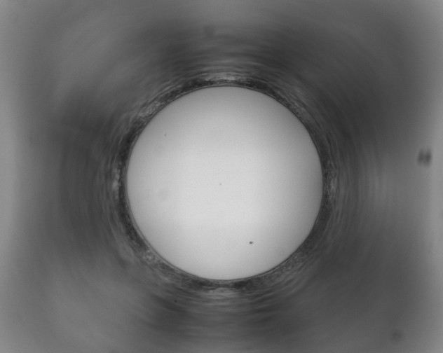 X0000111230551200907021026