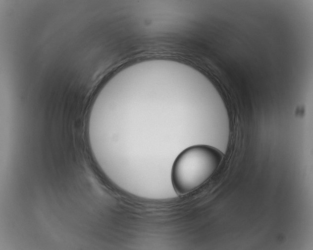 X0000111230552200907021026
