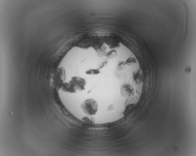 X0000111230553200907021026