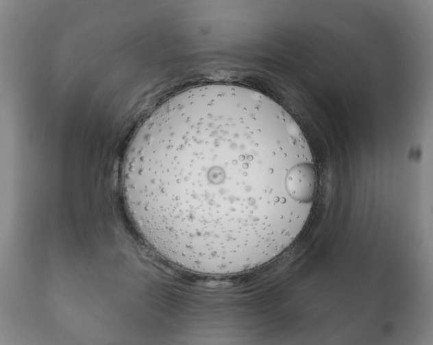 X0000111230554200907021026