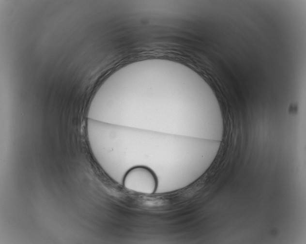X0000111230555200907021026