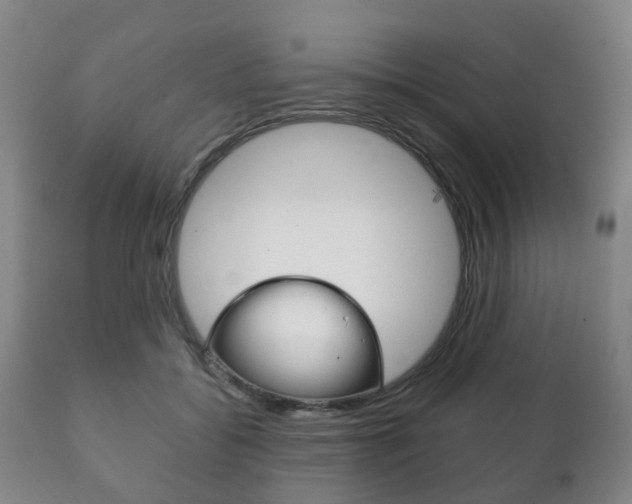 X0000111230556200907021026