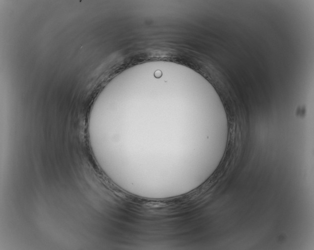 X0000111230557200907021026