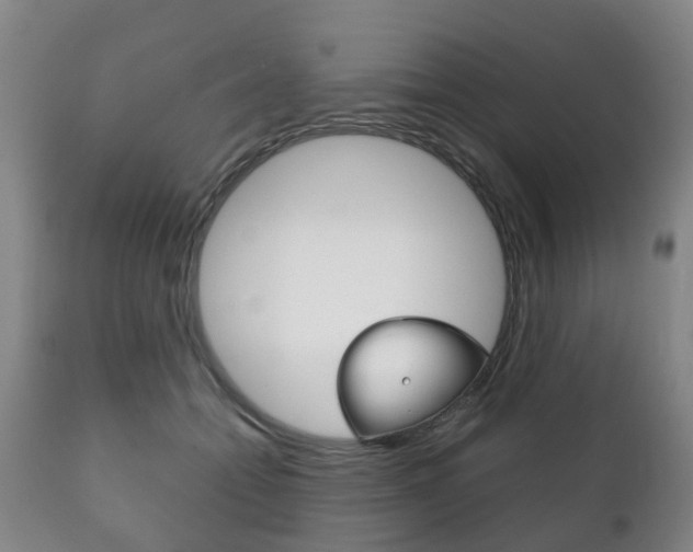 X0000111230558200907021026