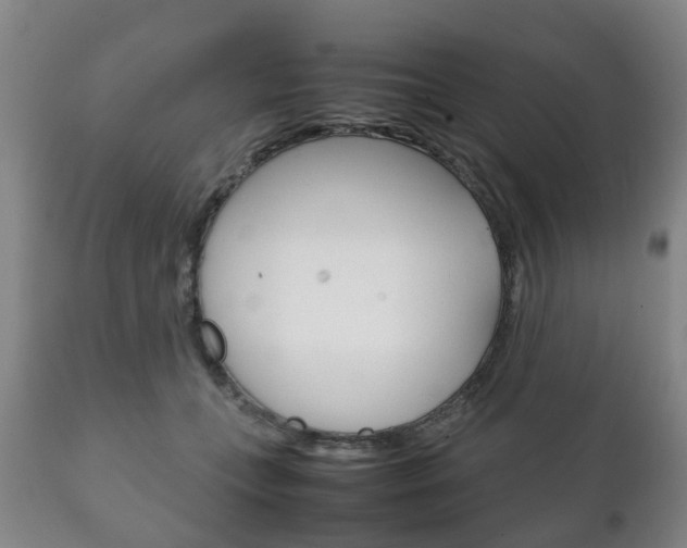 X0000111230559200907021026