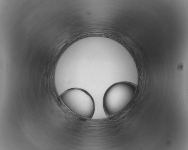 X0000111230560200907021026