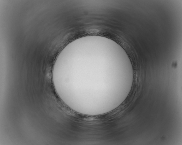 X0000111230561200907021026