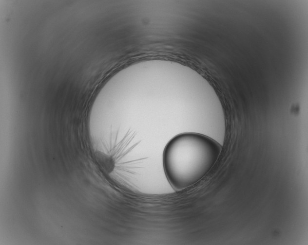 X0000111230562200907021026