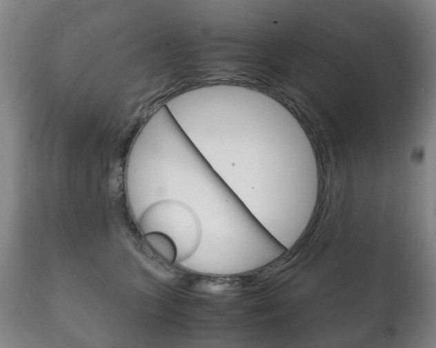 X0000111230563200907021026