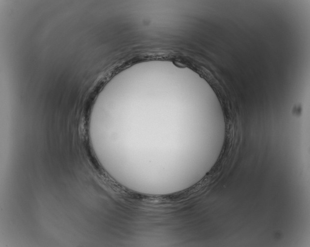 X0000111230564200907021026