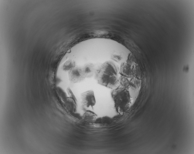 X0000111230565200907021026