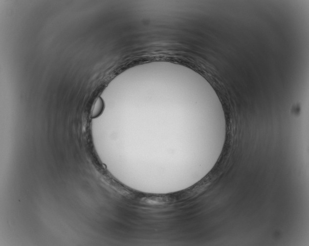 X0000111230567200907021026