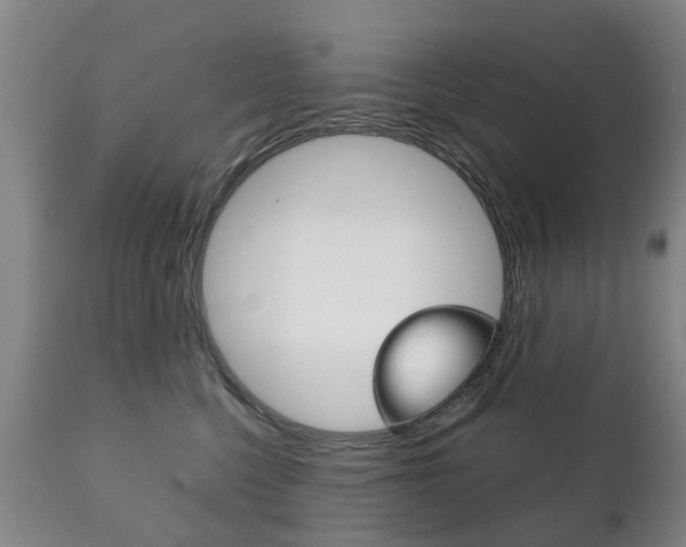X0000111230568200907021026