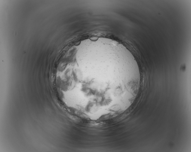 X0000111230569200907021026