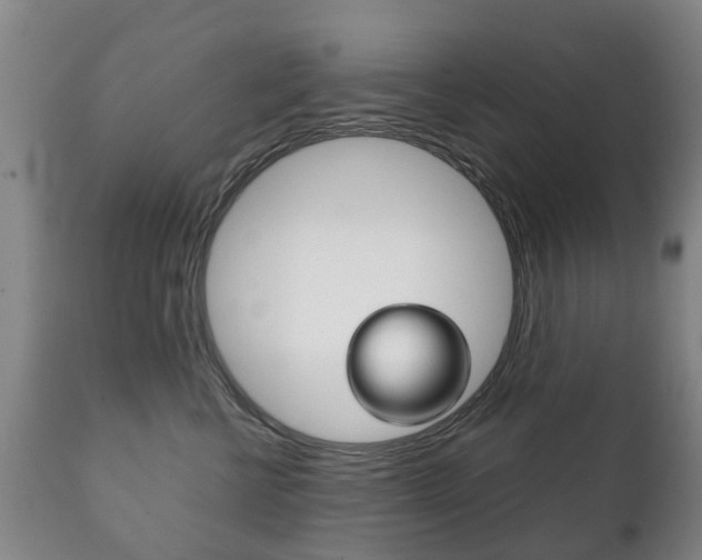 X0000111230570200907021026