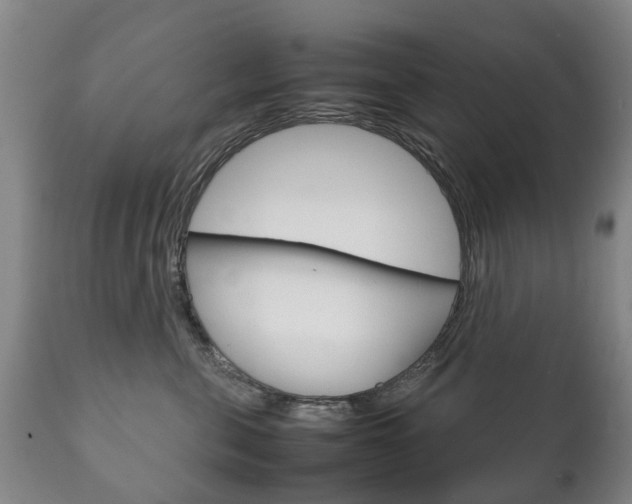 X0000111230571200907021026