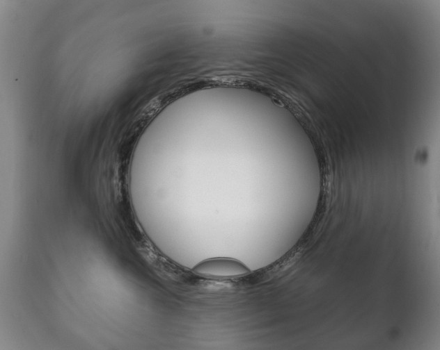 X0000111230572200907021026