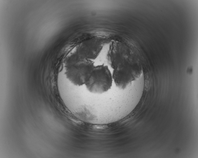 X0000111230573200907021026