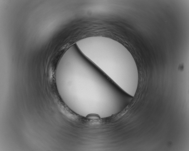 X0000111230574200907021026