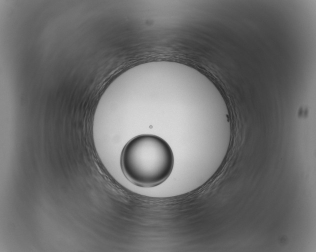 X0000111230576200907021026