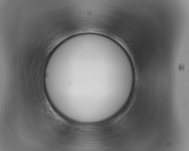 X0000111230577200907021026