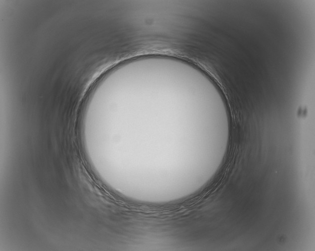 X0000111230579200907021026