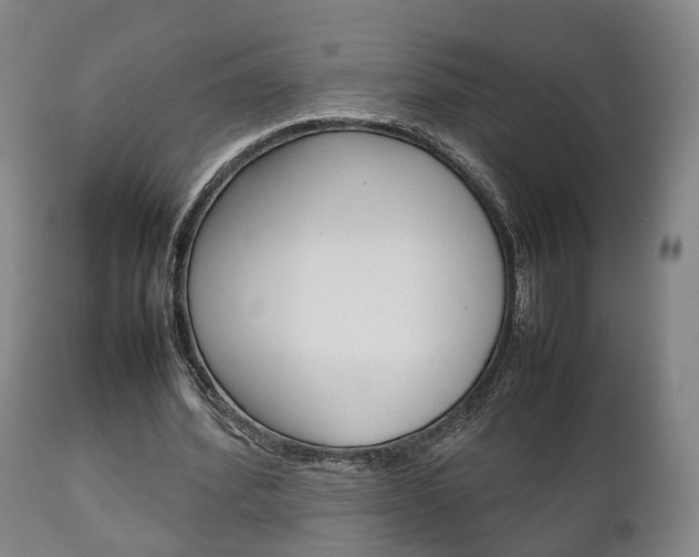 X0000111230580200907021026