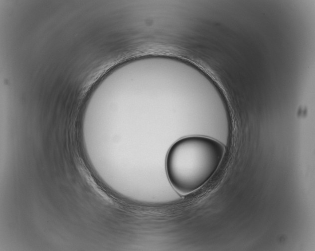 X0000111230581200907021026