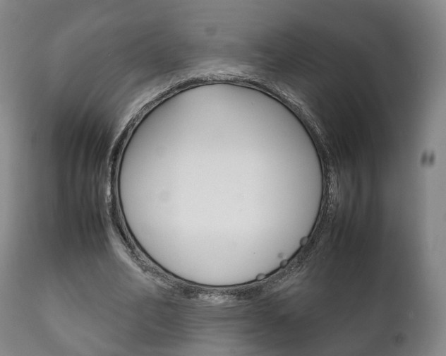 X0000111230582200907021026