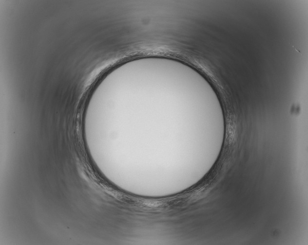 X0000111230583200907021026