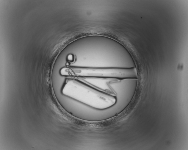 X0000111230585200907021026