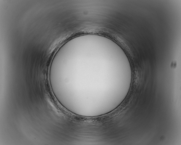 X0000111230586200907021026