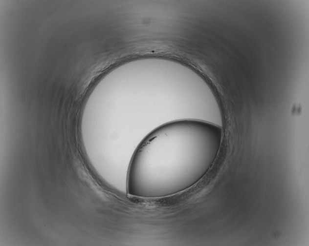 X0000111230589200907021026