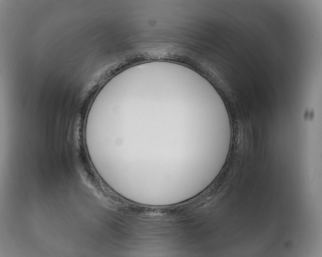 X0000111230590200907021026