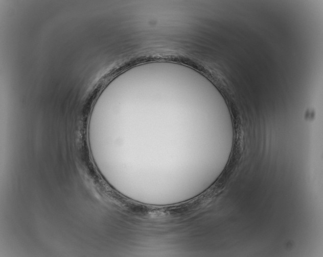 X0000111230591200907021026