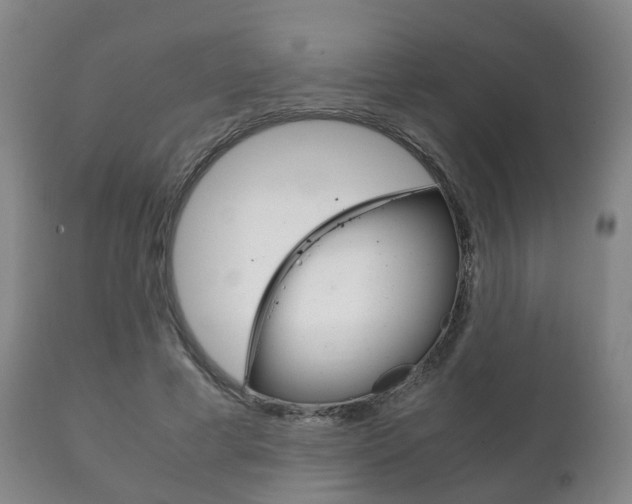 X0000111230593200907021026