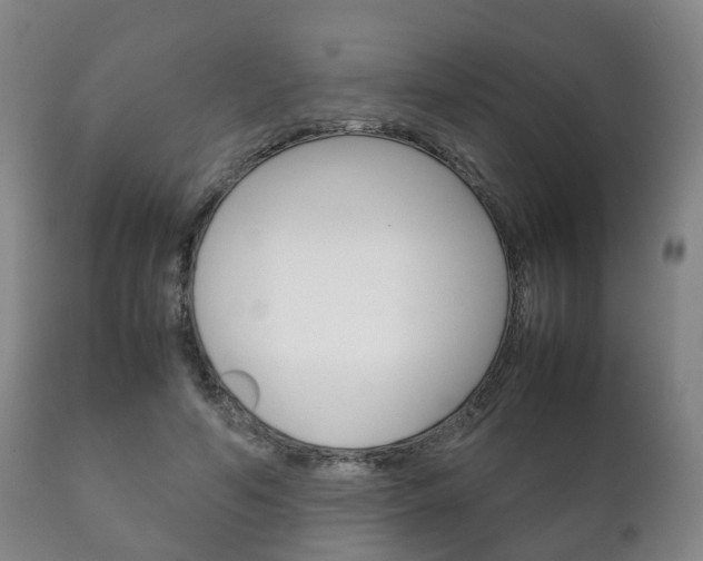 X0000111230594200907021026