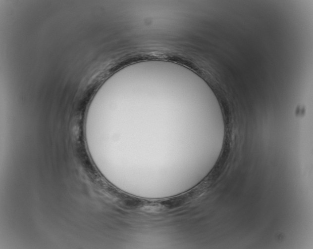X0000111230595200907021026