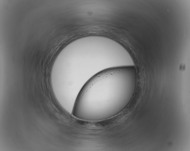 X0000111230597200907021025