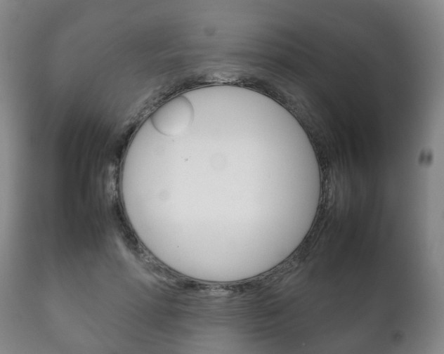 X0000111230598200907021025