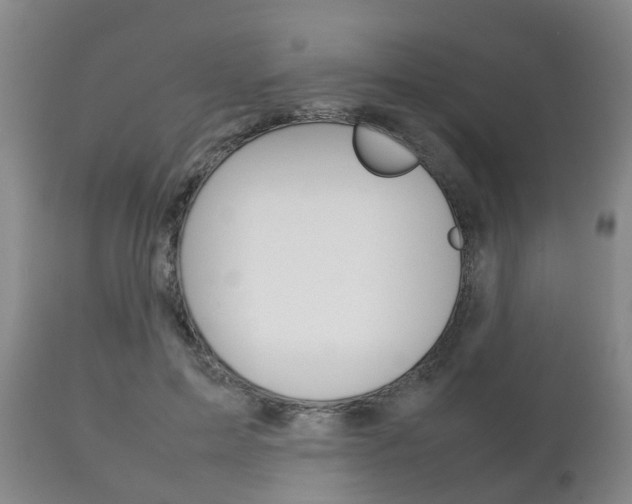 X0000111230599200907021025
