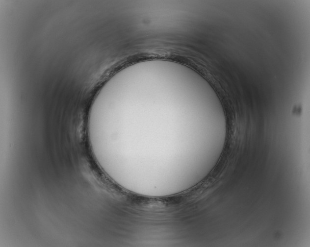 X0000111230600200907021025