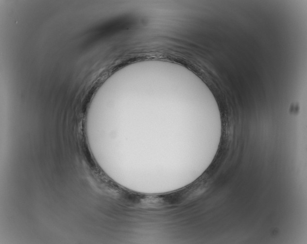X0000111230603200907021025